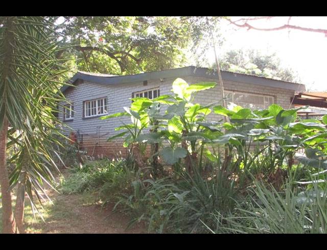 FARM FOR SALE IN WHITE RIVER ESTATES